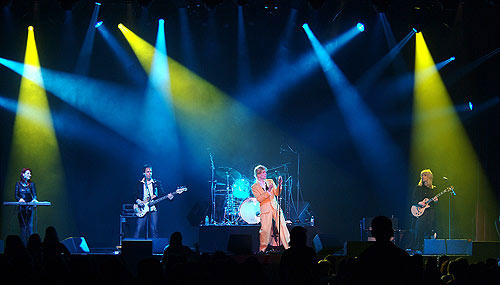 David Brighton and the Space Oddity Band